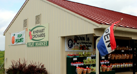 Fruit Market Directions